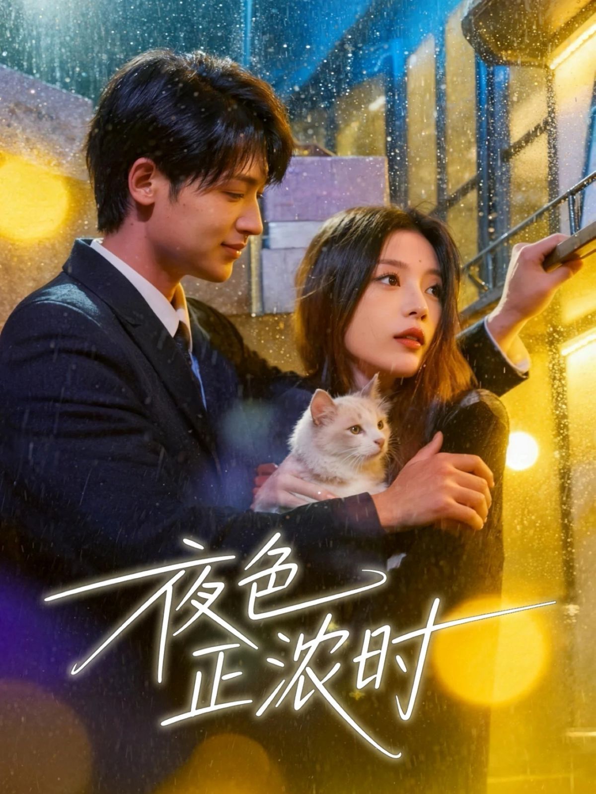 《夜色正浓时(2025)》高清海报 免费在线观看