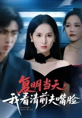 《复明当天，我看清前夫嘴脸(2026)》高清海报 免费在线观看