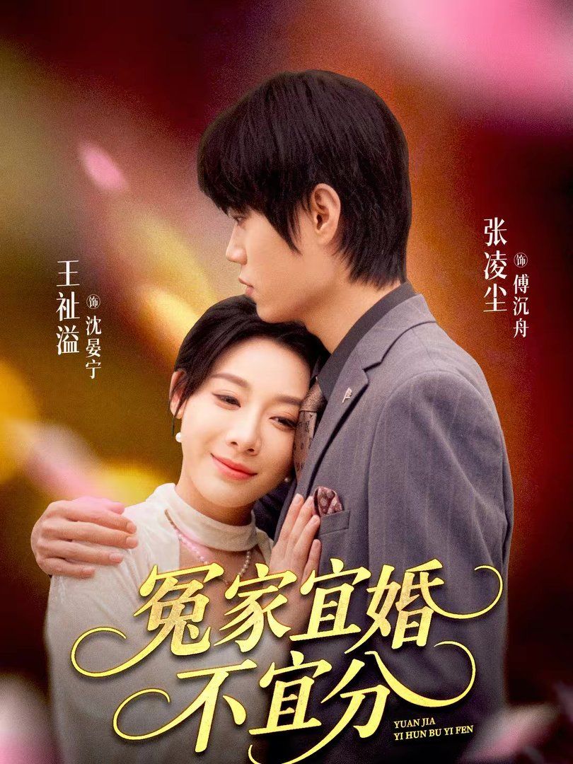 《冤家宜婚不宜分(2026)》高清海报 免费在线观看