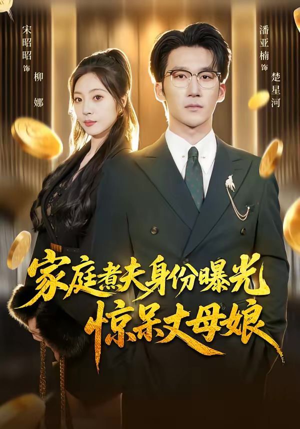 《家庭煮夫身份曝光惊呆丈母娘(2026)》高清海报 免费在线观看