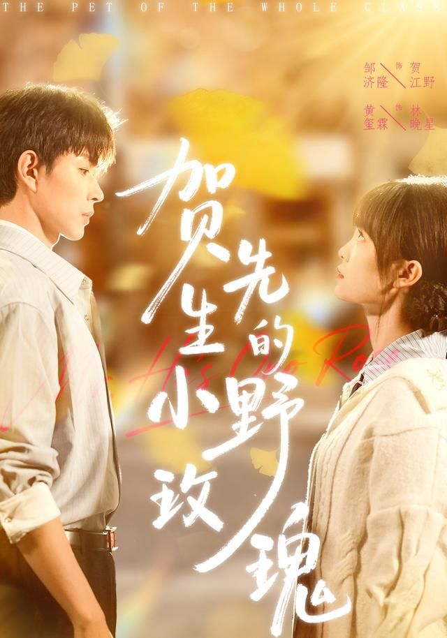 《贺先生的小野玫瑰(2026)》高清海报 免费在线观看