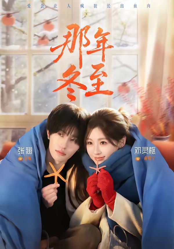 《那年冬至(2026)》高清海报 免费在线观看