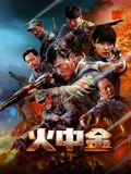 《火中金(2025)》高清海报 免费在线观看