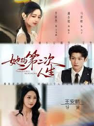 《她的第二次人生(2025)》高清海报 免费在线观看