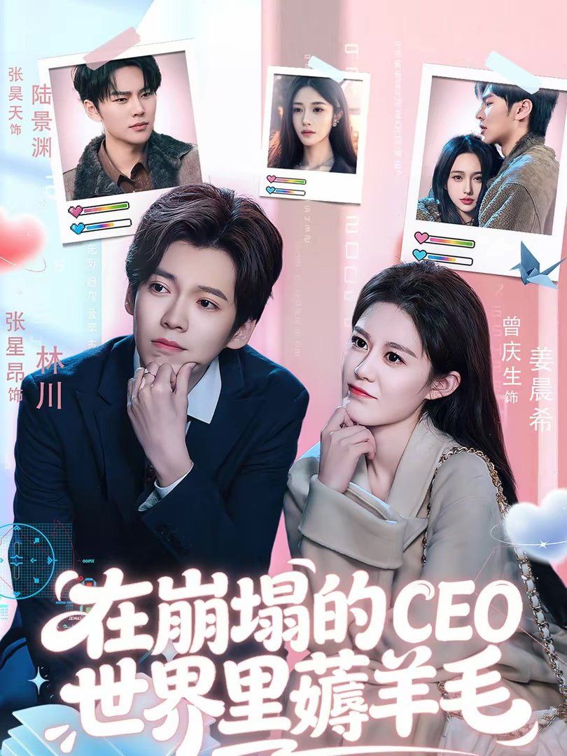 《在崩塌的CEO世界里薅羊毛(2026)》高清海报 免费在线观看