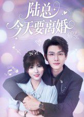 《陆总今天要离婚(2025)》高清海报 免费在线观看