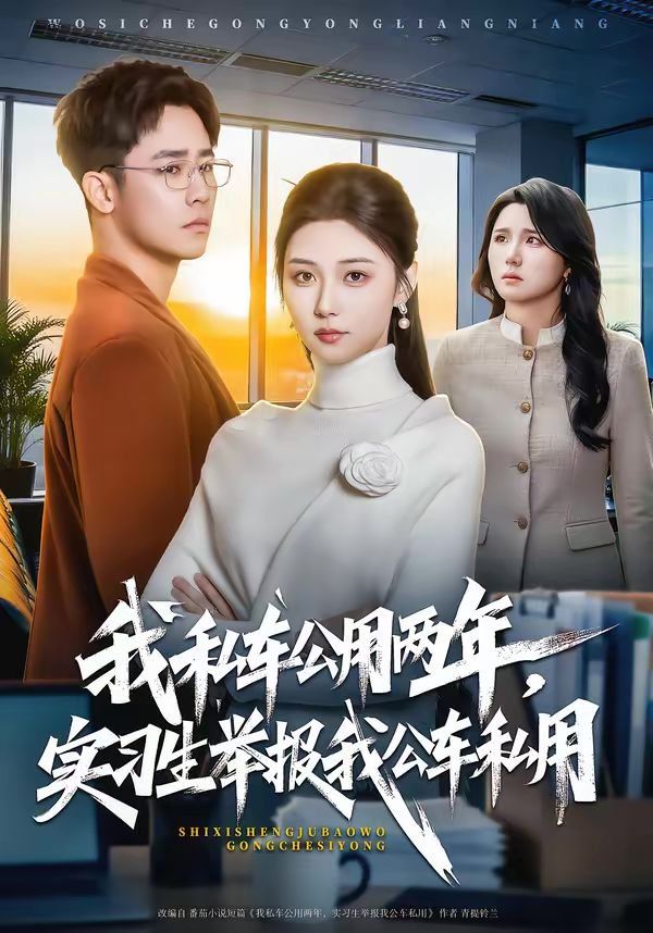 《我私车公用两年，实习生举报我公车私用(2026)》高清海报 免费在线观看