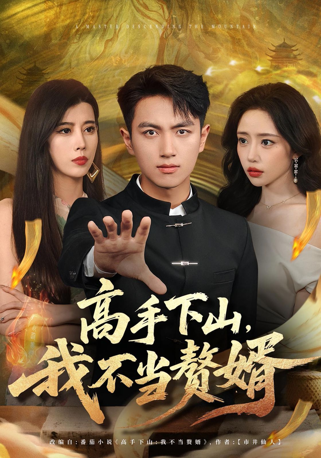 《高手下山我不当赘婿(2025)》高清海报 免费在线观看