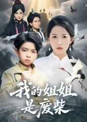 《我的姐姐是废柴(2025)》高清海报 免费在线观看