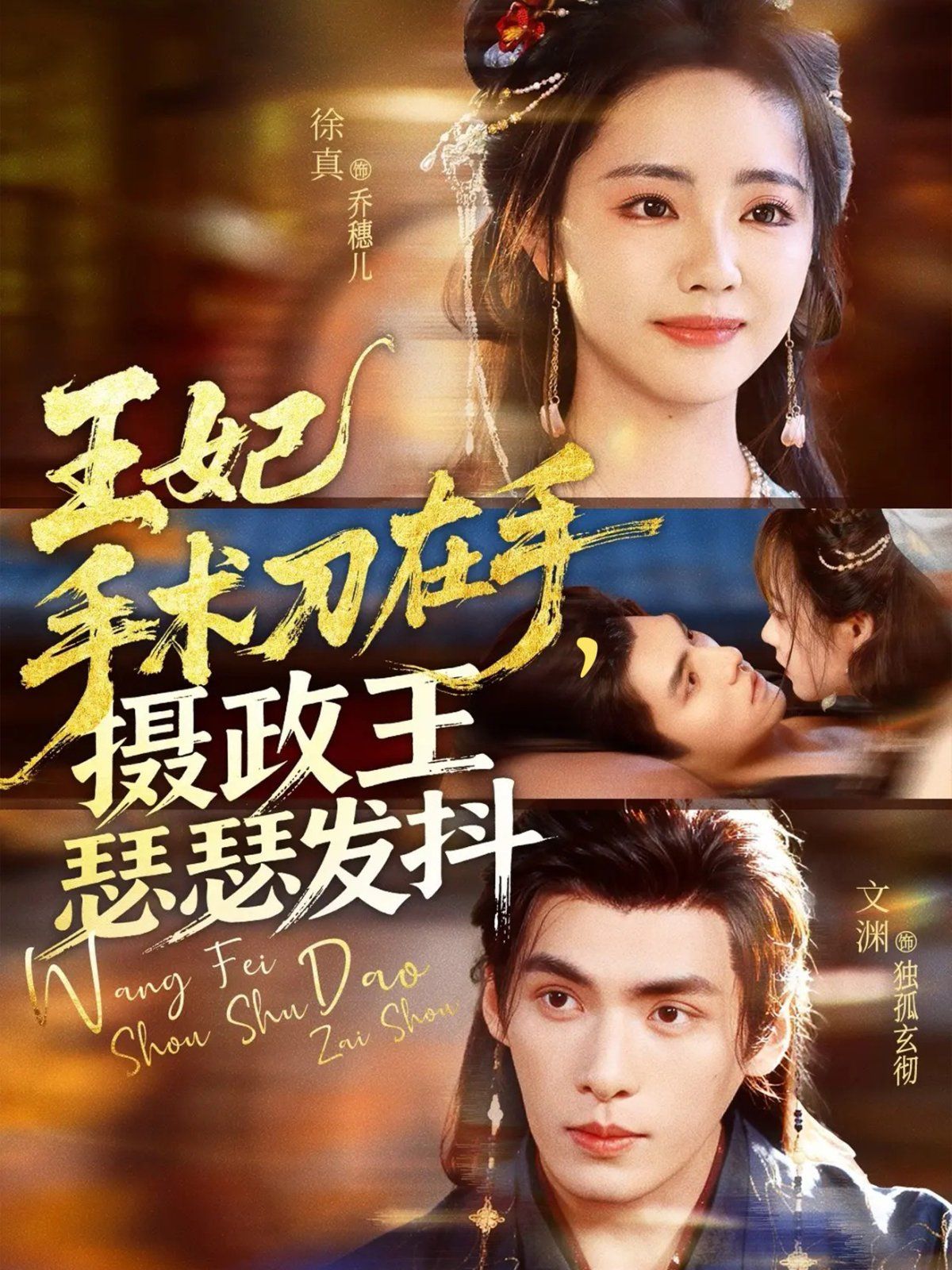 《王妃手术刀在手摄政王瑟瑟发抖(2025)》高清海报 免费在线观看
