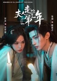 《夫人走的第三年(2026)》高清海报 免费在线观看