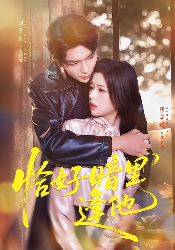 《恰好暗里逢他(2026)》高清海报 免费在线观看