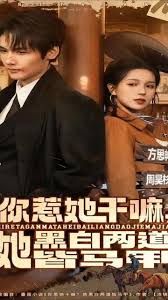 《你惹她干嘛，她黑白两道皆马甲(2025)》高清海报 免费在线观看