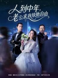 《人到中年，老公求我放他自由(2025)》高清海报 免费在线观看