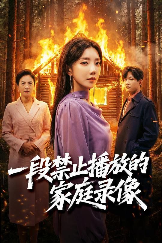 《一段禁止播放的家庭录像(2026)》高清海报 免费在线观看
