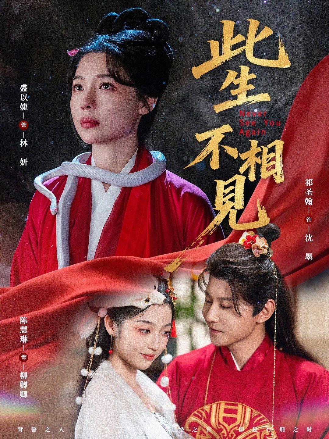 《此生不相见(2025)》高清海报 免费在线观看