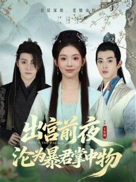 《出宫前夜沦为暴君掌中物(2025)》高清海报 免费在线观看