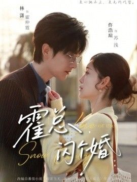 《霍总闪个婚(2026)》高清海报 免费在线观看