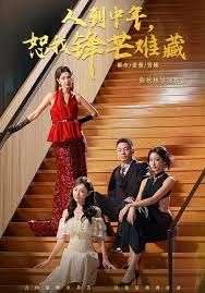 《人到中年，恕我锋芒难藏(2026)》高清海报 免费在线观看