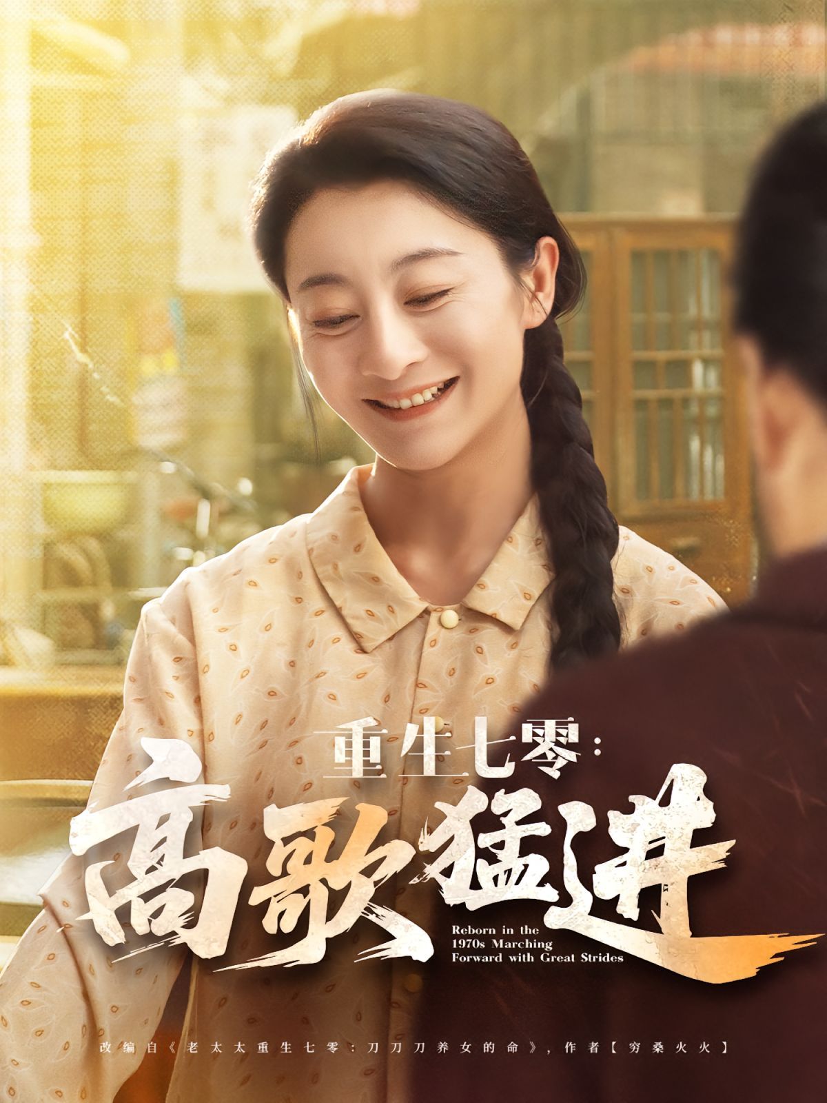 《重生七零高歌猛进(2025)》高清海报 免费在线观看