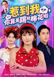 《惹到我，你算是踢到棉花啦(2025)》高清海报 免费在线观看