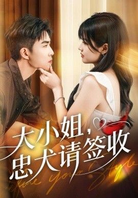 《大小姐忠犬请签收(2025)》高清海报 免费在线观看