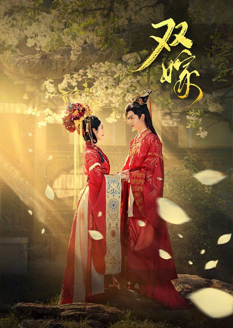 《双嫁(2025)》高清海报 免费在线观看