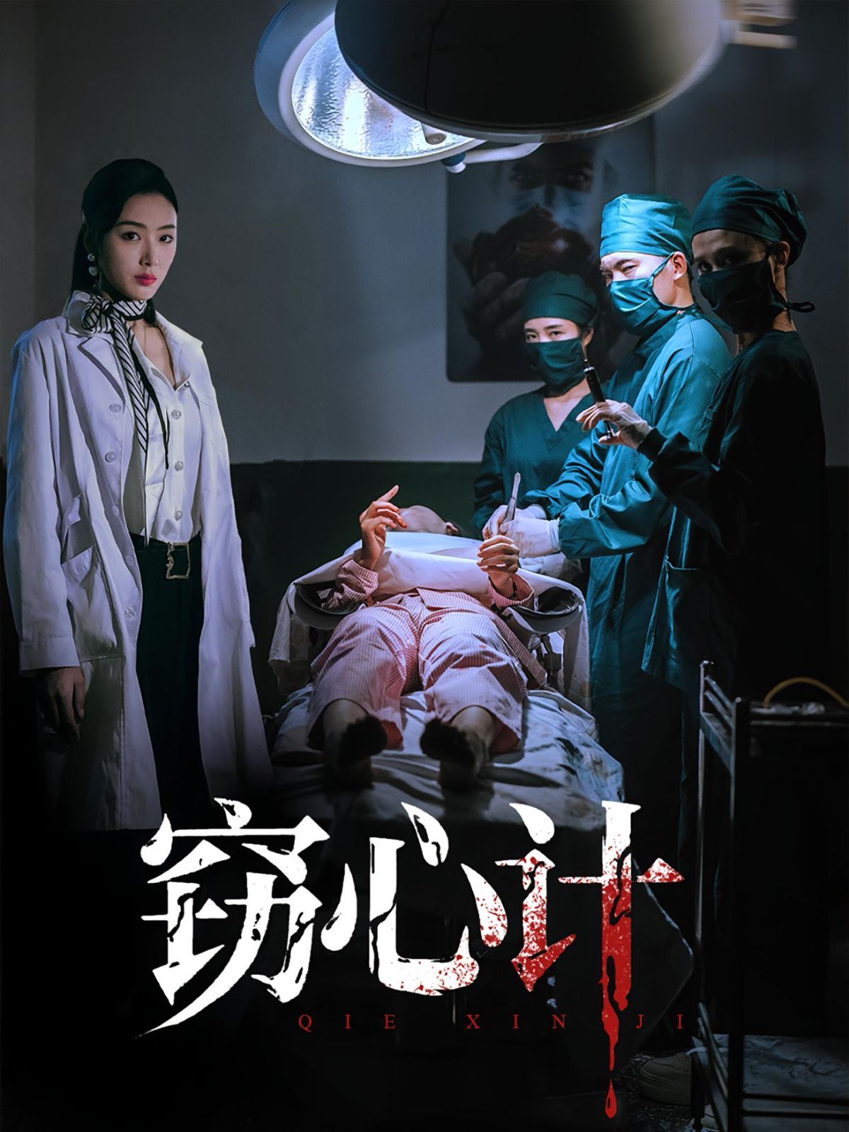 《窃心计(2025)》高清海报 免费在线观看