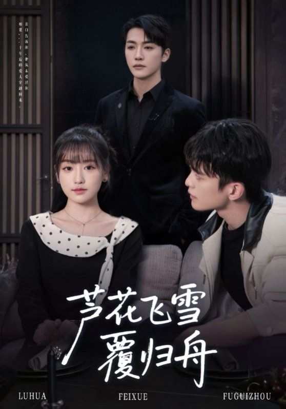 《芦花飞雪覆归舟(2025)》高清海报 免费在线观看