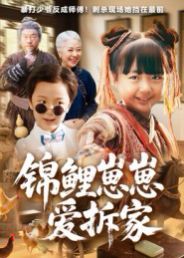 《锦鲤崽崽爱拆家(2025)》高清海报 免费在线观看