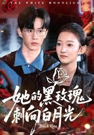《她的黑玫瑰刺向白月光(2025)》高清海报 免费在线观看