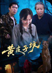 《黄皮子坟(2025)》高清海报 免费在线观看