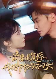 《前妻求复婚，我扔下协议不回头(2026)》高清海报 免费在线观看
