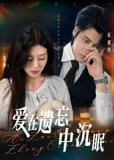 《爱在遗忘中沉眠(2025)》高清海报 免费在线观看