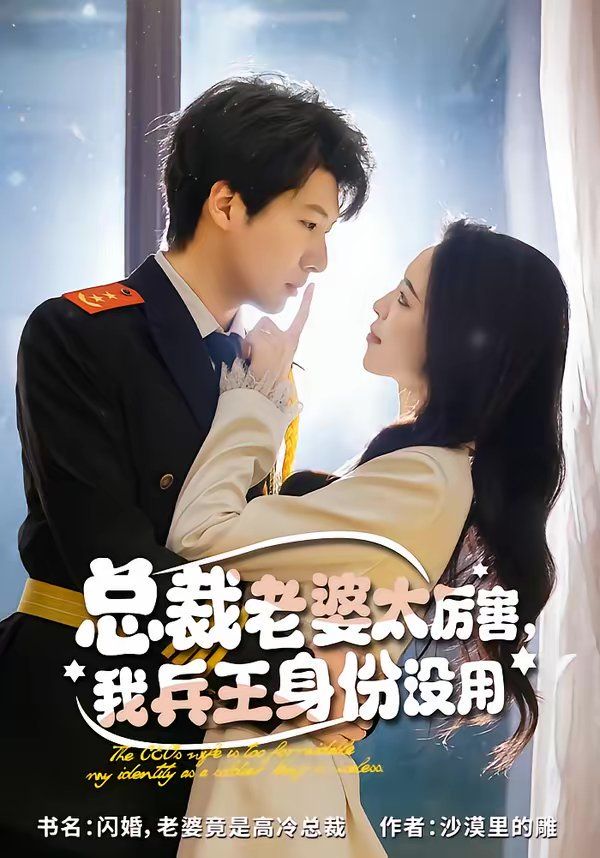 《总裁老婆太厉害，我兵王身份没用(2026)》高清海报 免费在线观看
