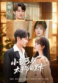 《小乞丐与太子爷的黑卡(2025)》高清海报 免费在线观看