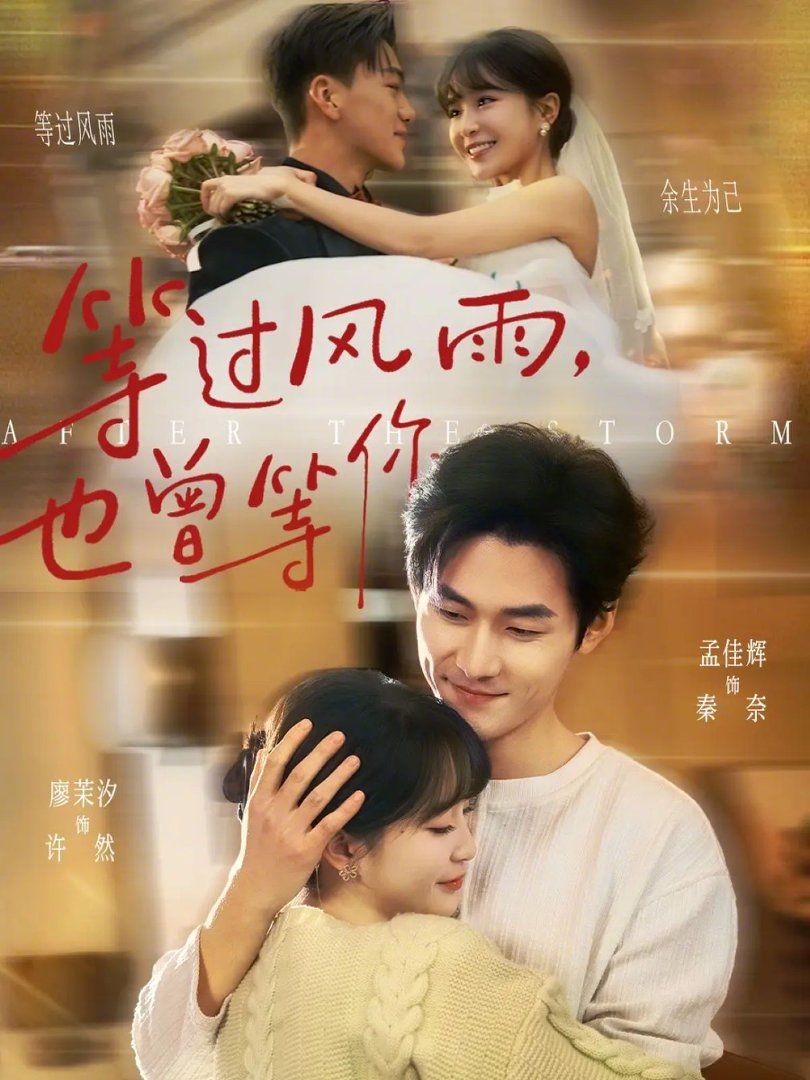 《等过风雨，也曾等你(2026)》高清海报 免费在线观看