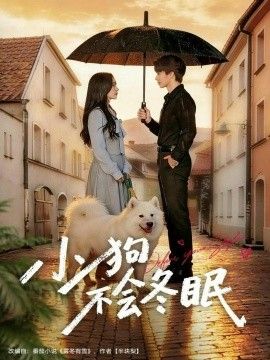 《小狗不会冬眠(2026)》高清海报 免费在线观看