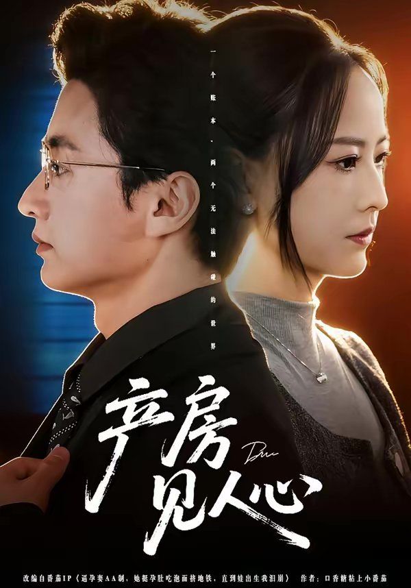 《产房见人心(2026)》高清海报 免费在线观看