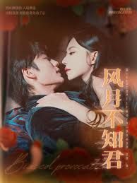 《风月不知君(2025)》高清海报 免费在线观看