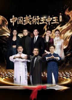 《中国武术王中王第二季(2025)》高清海报 免费在线观看