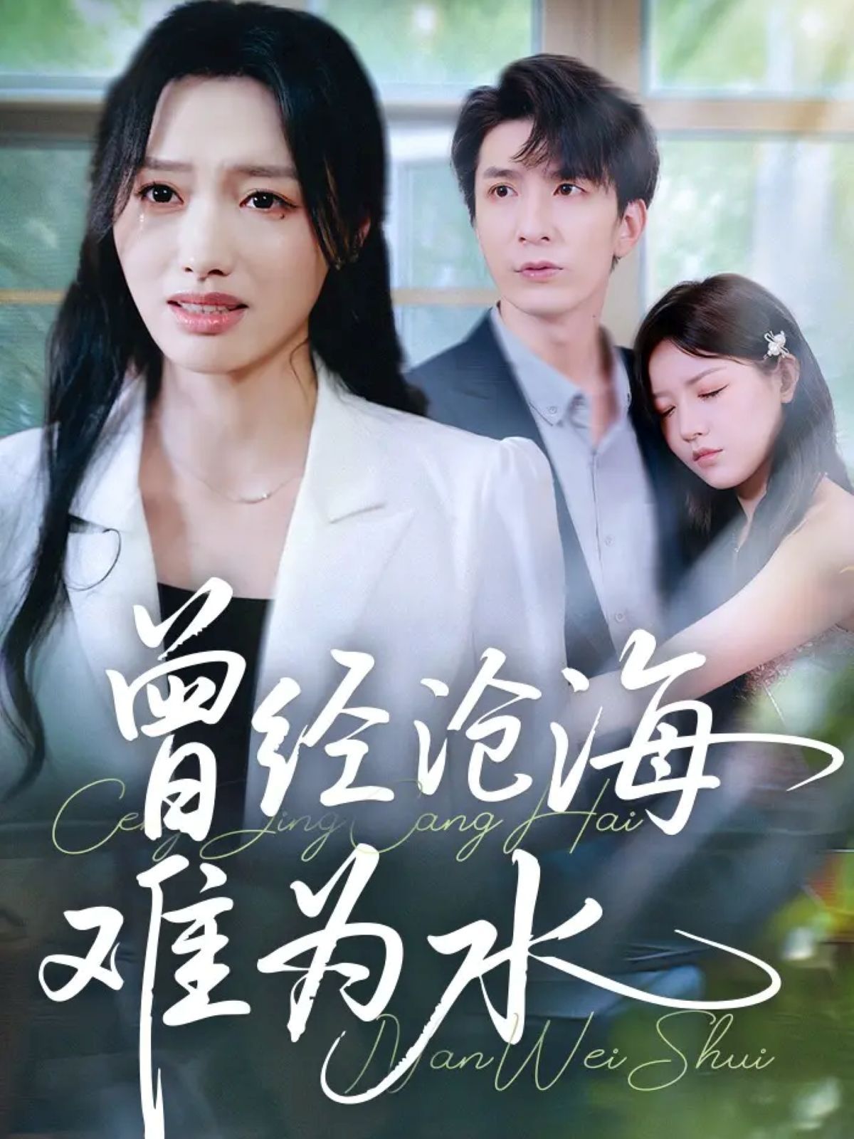 《新曾经沧海难为水(2025)》高清海报 免费在线观看