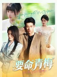 《要命青梅(2025)》高清海报 免费在线观看