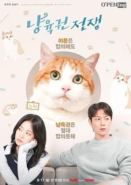 《喵育权战争(2025)》高清海报 免费在线观看