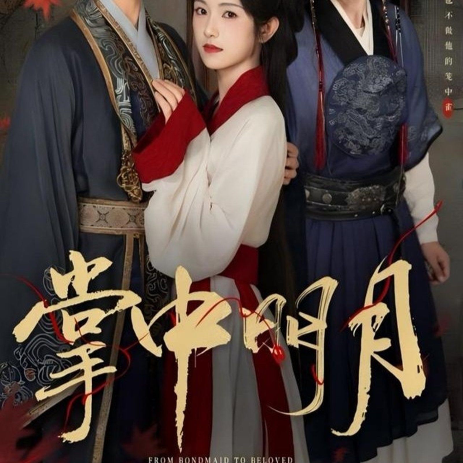 《掌中明月(2025)》高清海报 免费在线观看