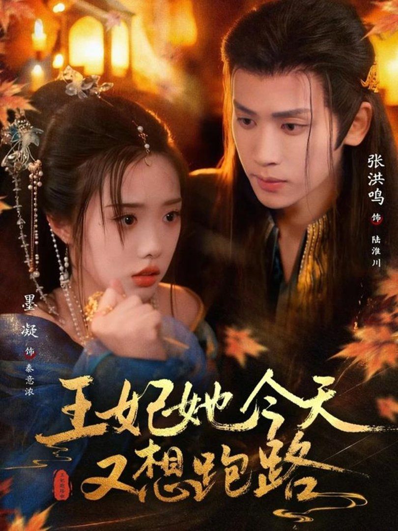 《王妃她今天又想跑路(2026)》高清海报 免费在线观看
