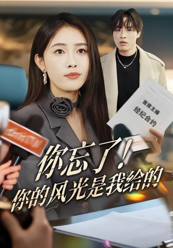 《你忘了！你的风光是我给的(2026)》高清海报 免费在线观看