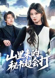 《山里来的秘书超会打(2025)》高清海报 免费在线观看