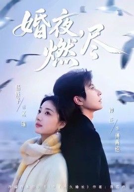 《婚夜，燃尽(2026)》高清海报 免费在线观看