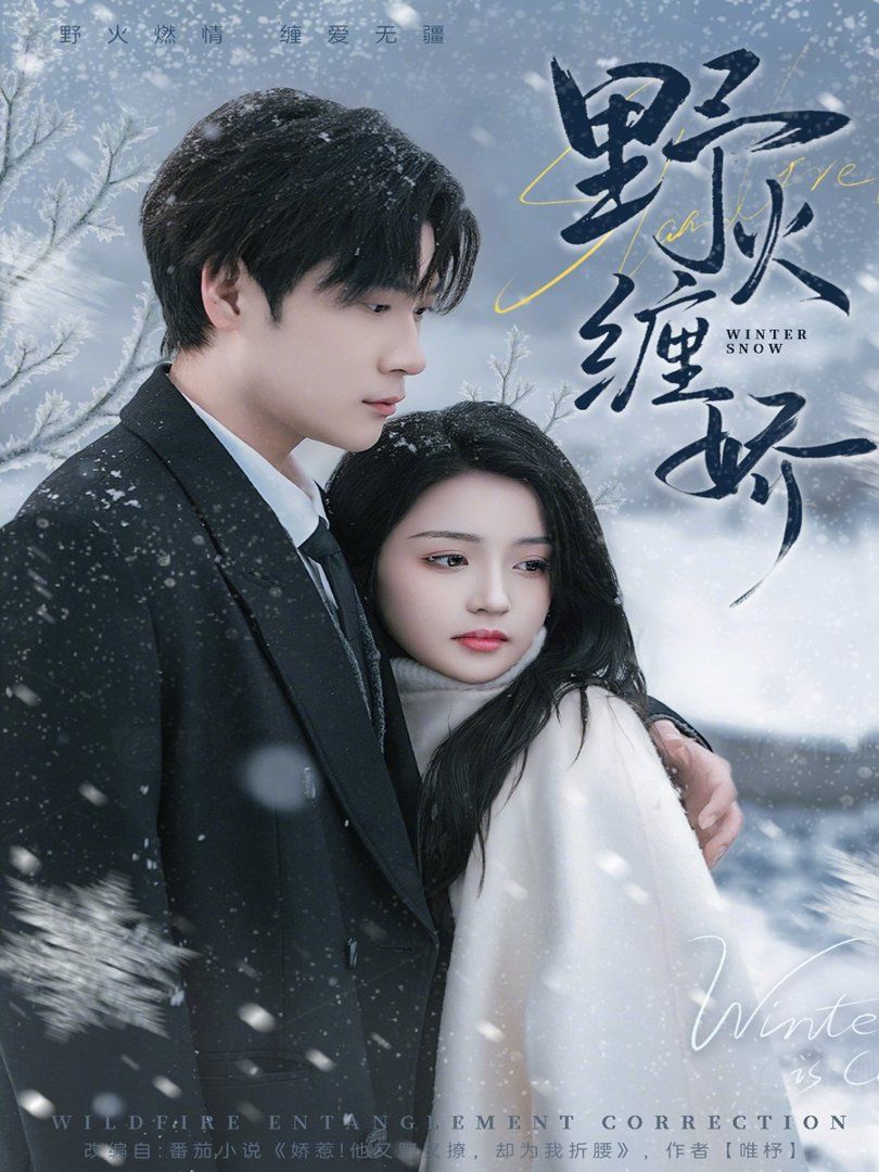 《野火缠娇(2026)》高清海报 免费在线观看